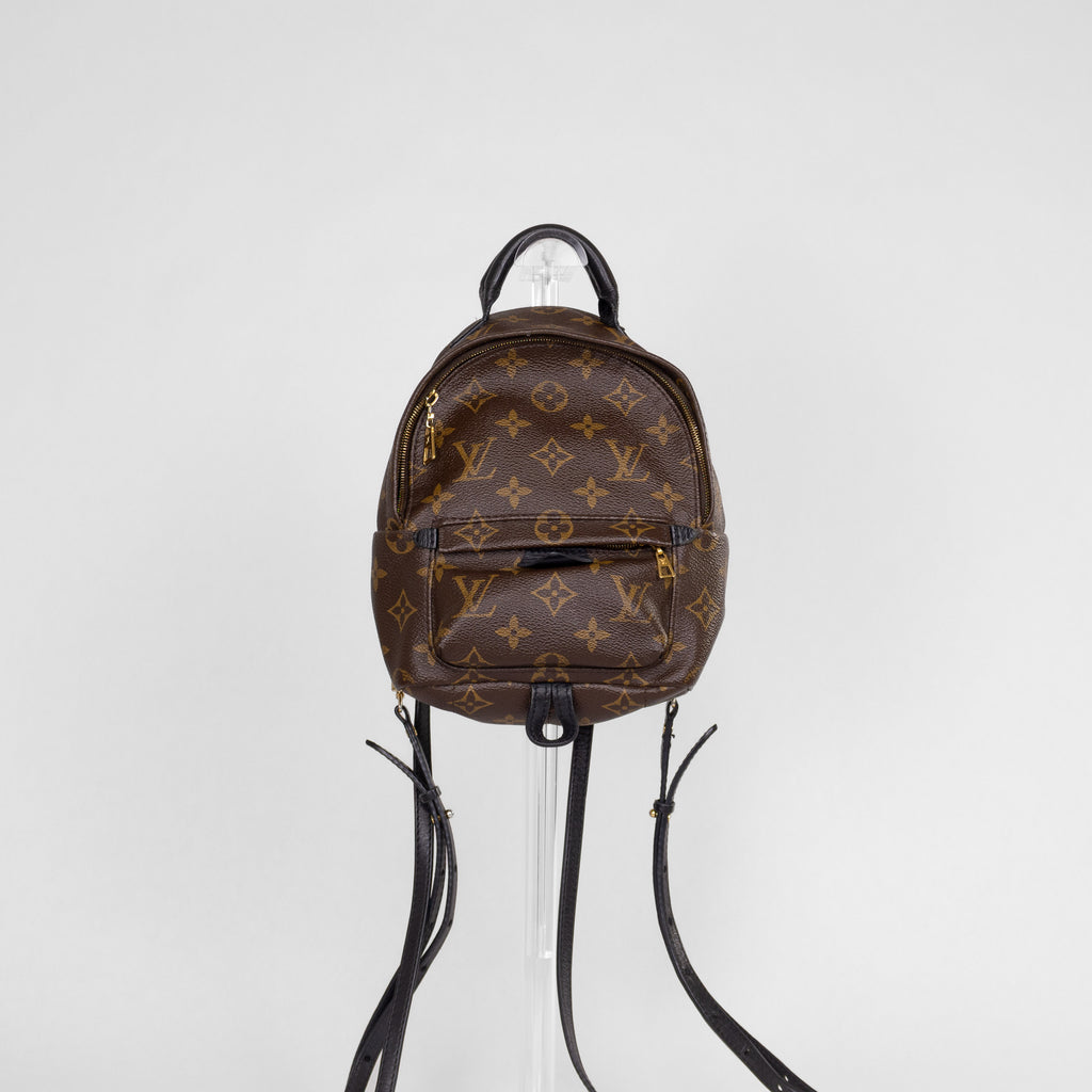 Louis Vuitton Palm Springs Mini