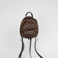 Louis Vuitton Palm Springs Mini