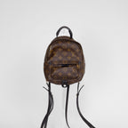 Louis Vuitton Palm Springs Mini
