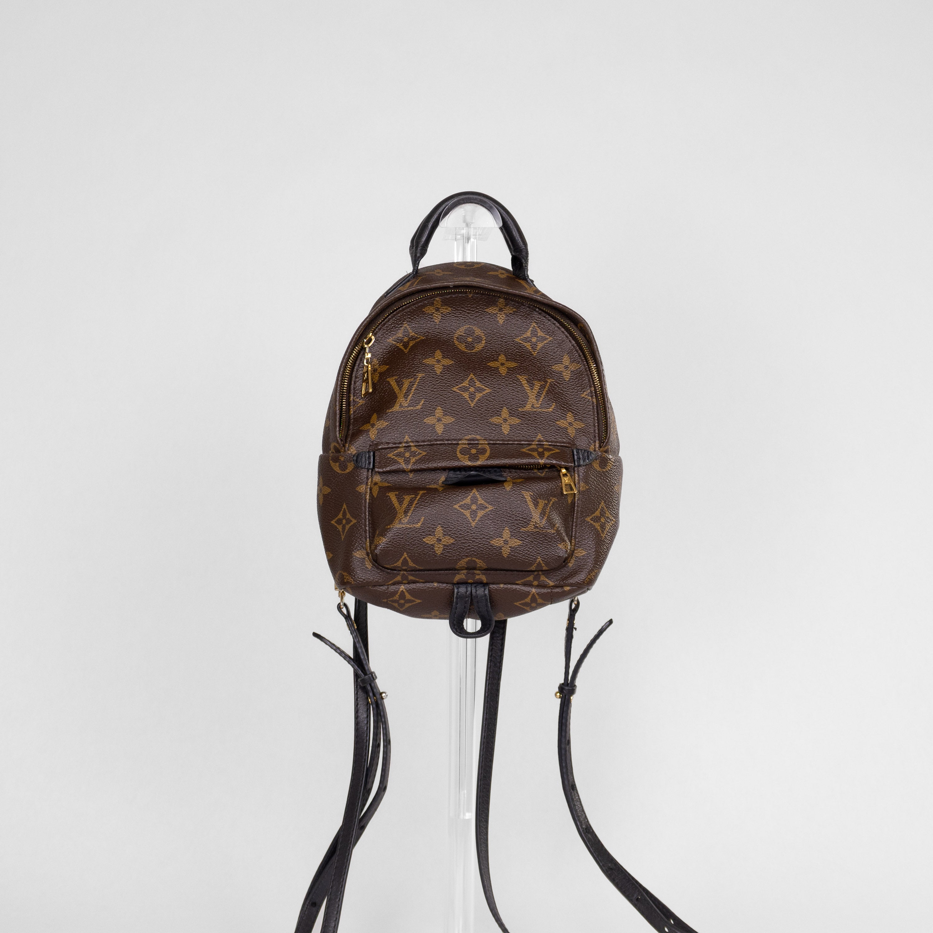 Louis Vuitton Palm Springs Mini