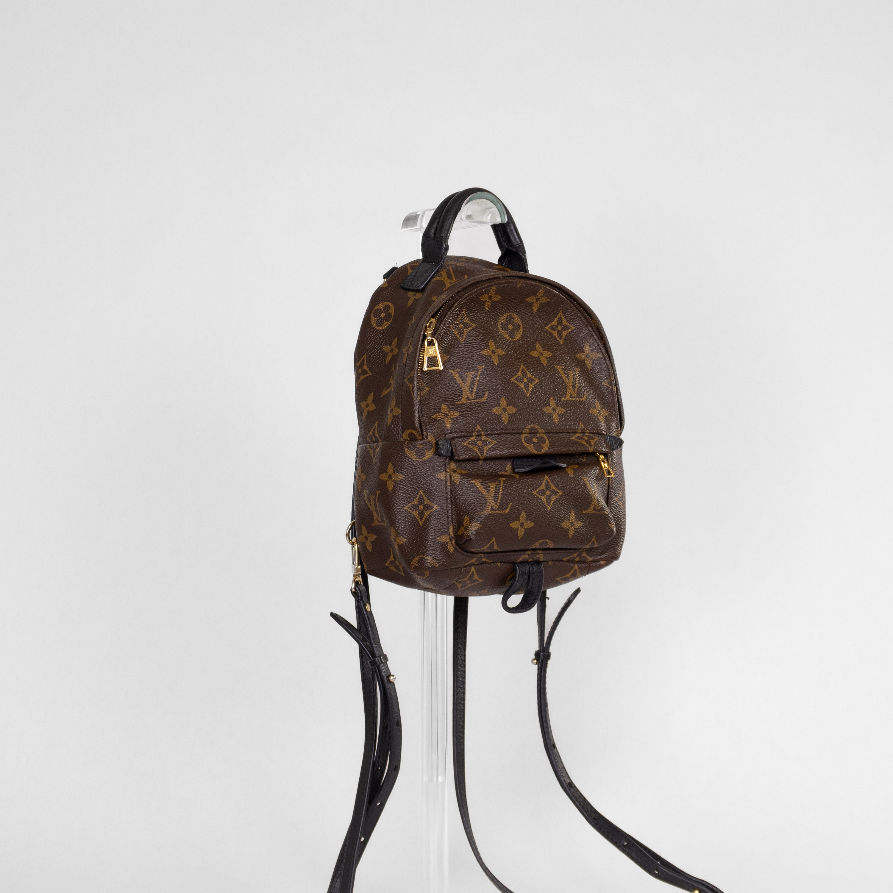Louis Vuitton Palm Springs Mini