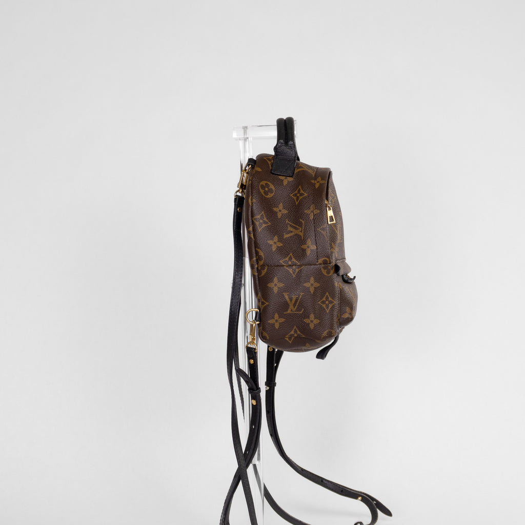 Louis Vuitton Palm Springs Mini