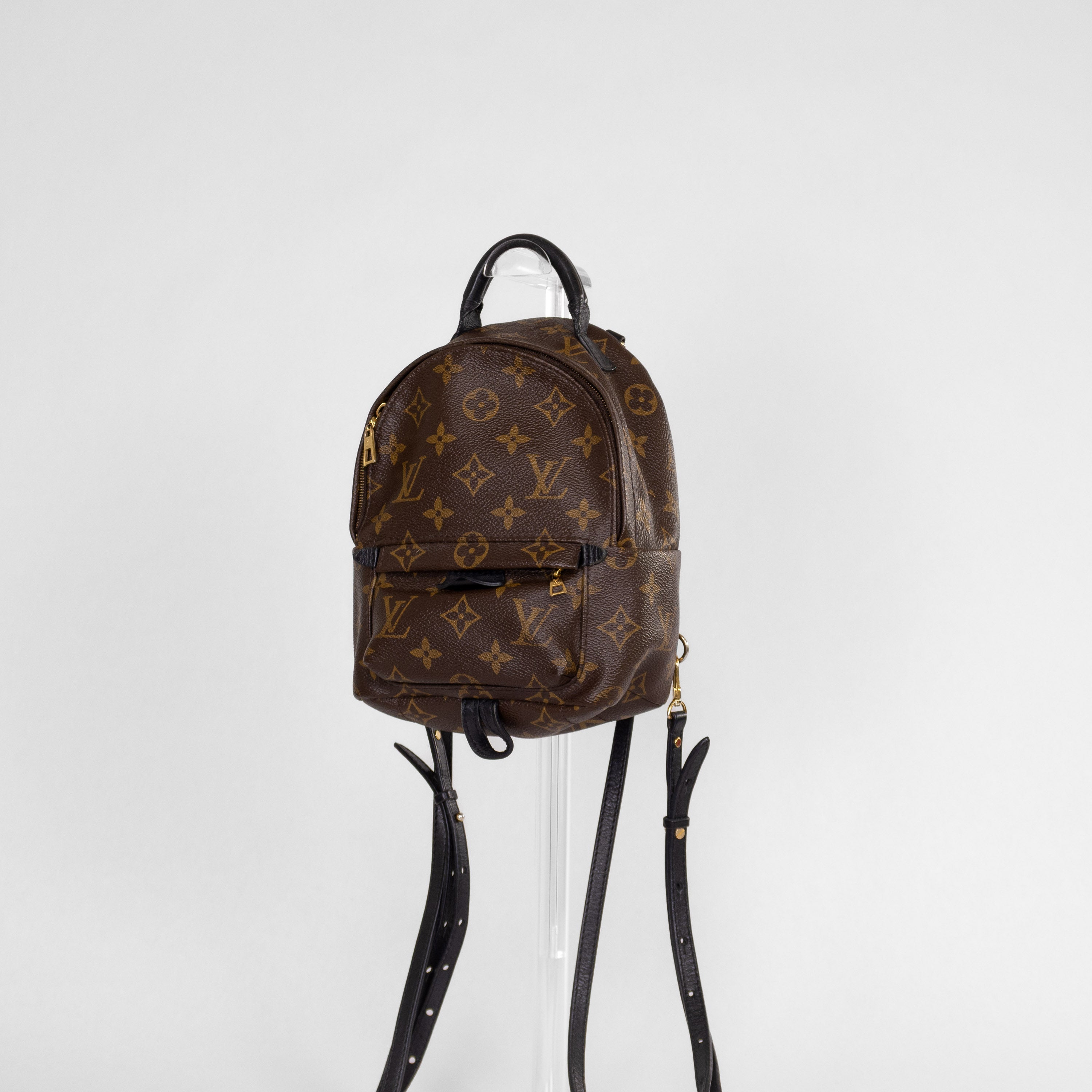 Louis Vuitton Palm Springs Mini