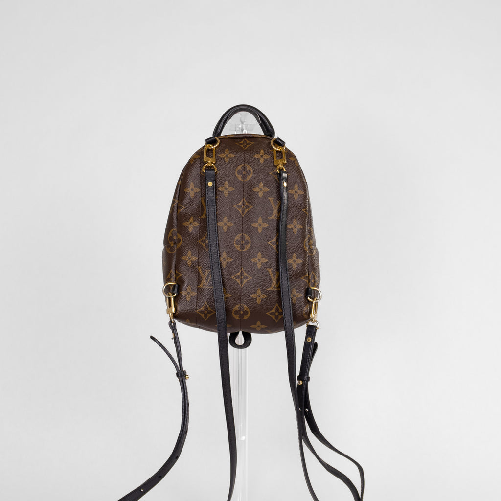 Louis Vuitton Palm Springs Mini